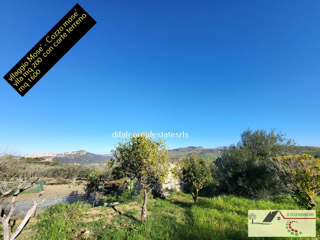 Vista