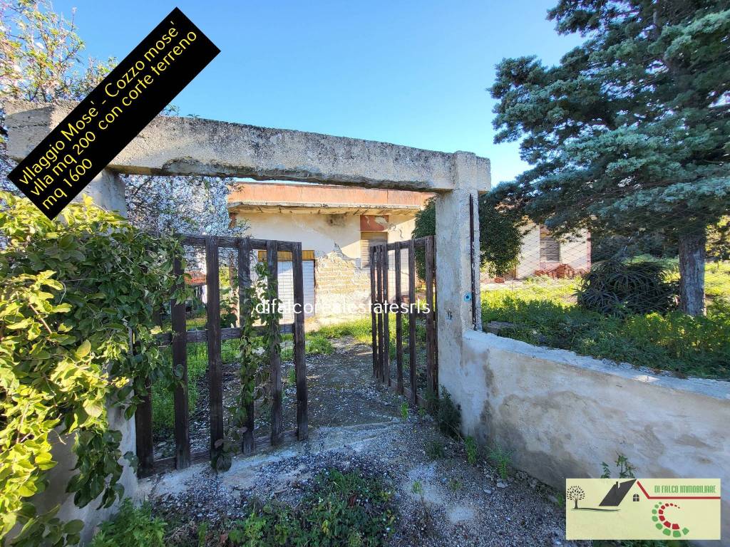 Ingresso