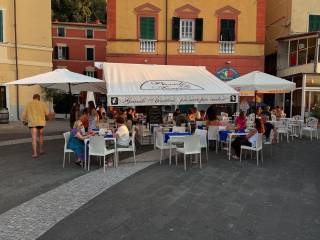 Zona