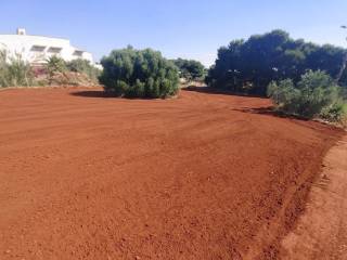 Terreno