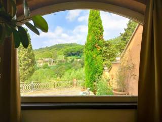 Vista