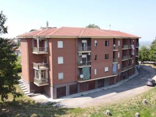 Vista