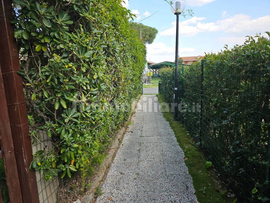 Giardino