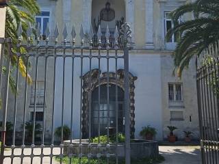 Zona