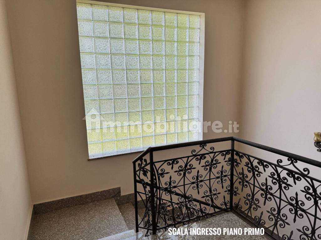 Ingresso
