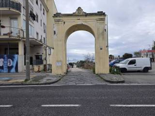 Zona