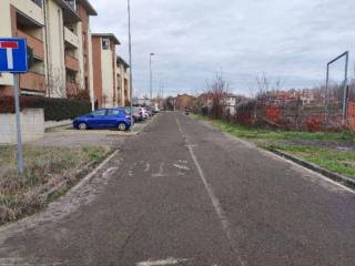 Zona