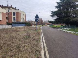 Zona