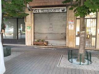 Zona
