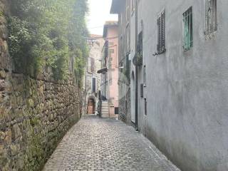 Zona