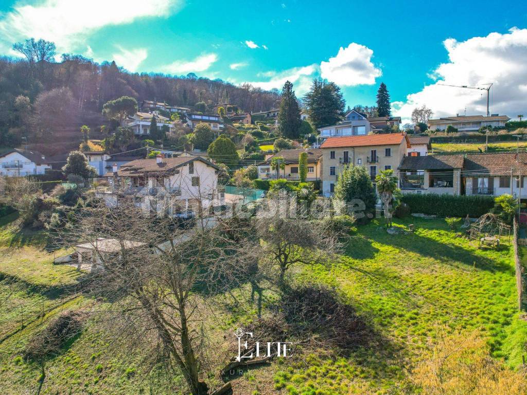 Vista