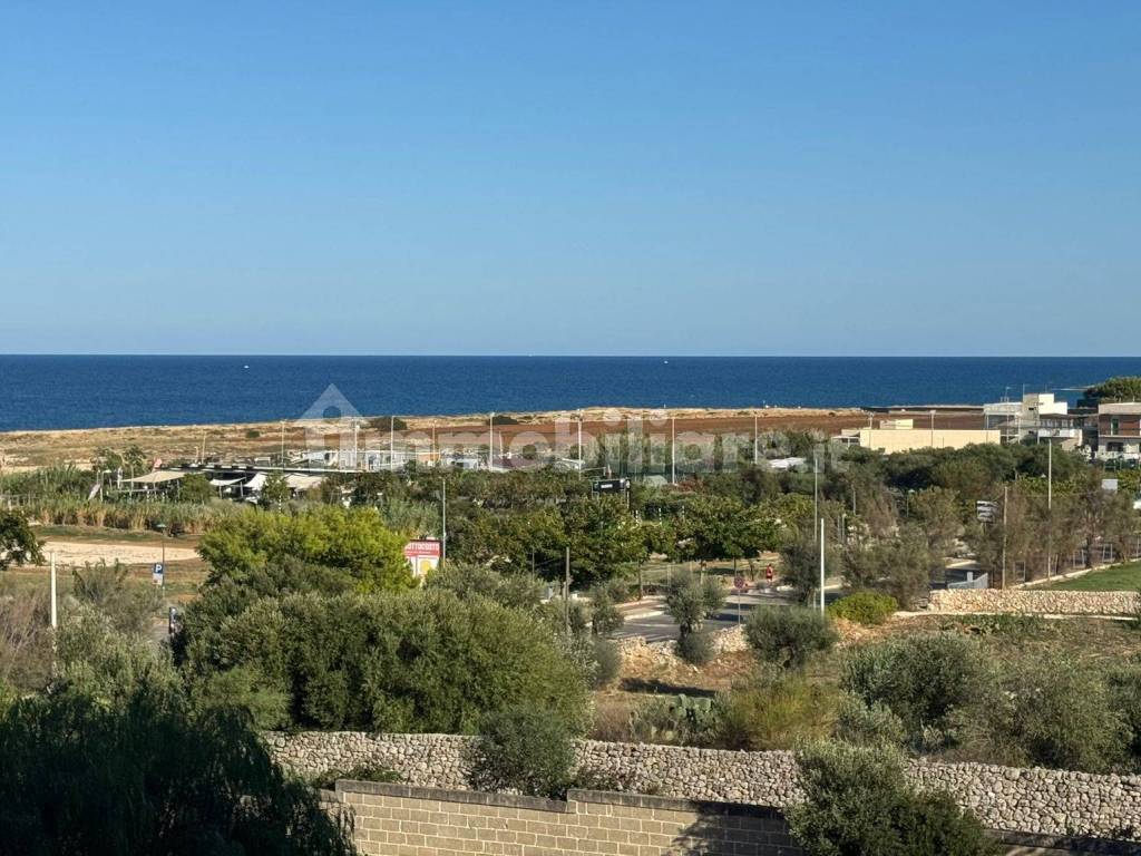 Vista