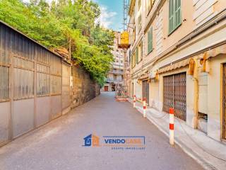 Zona