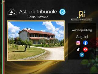 Vista