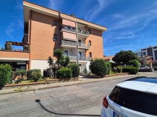 Zona