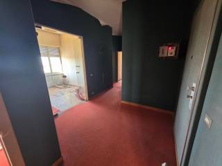 Ingresso
