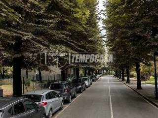 Zona