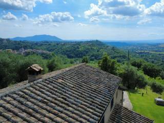 Vista