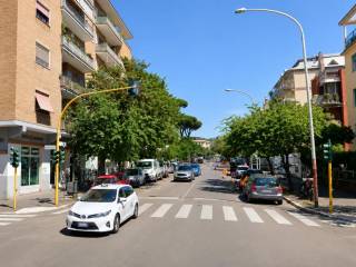Zona
