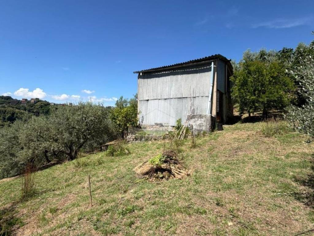Terreno