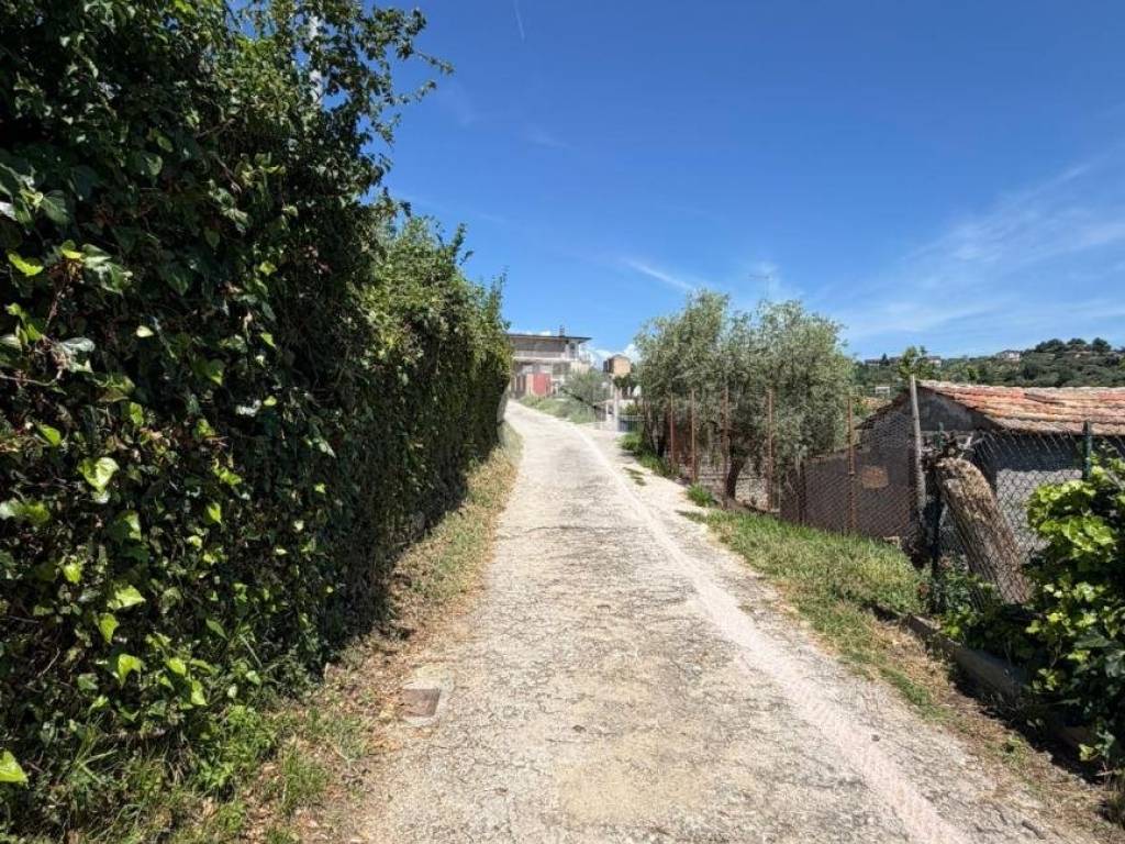 Terreno