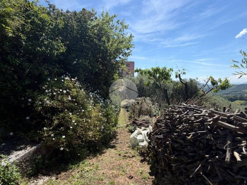 Terreno