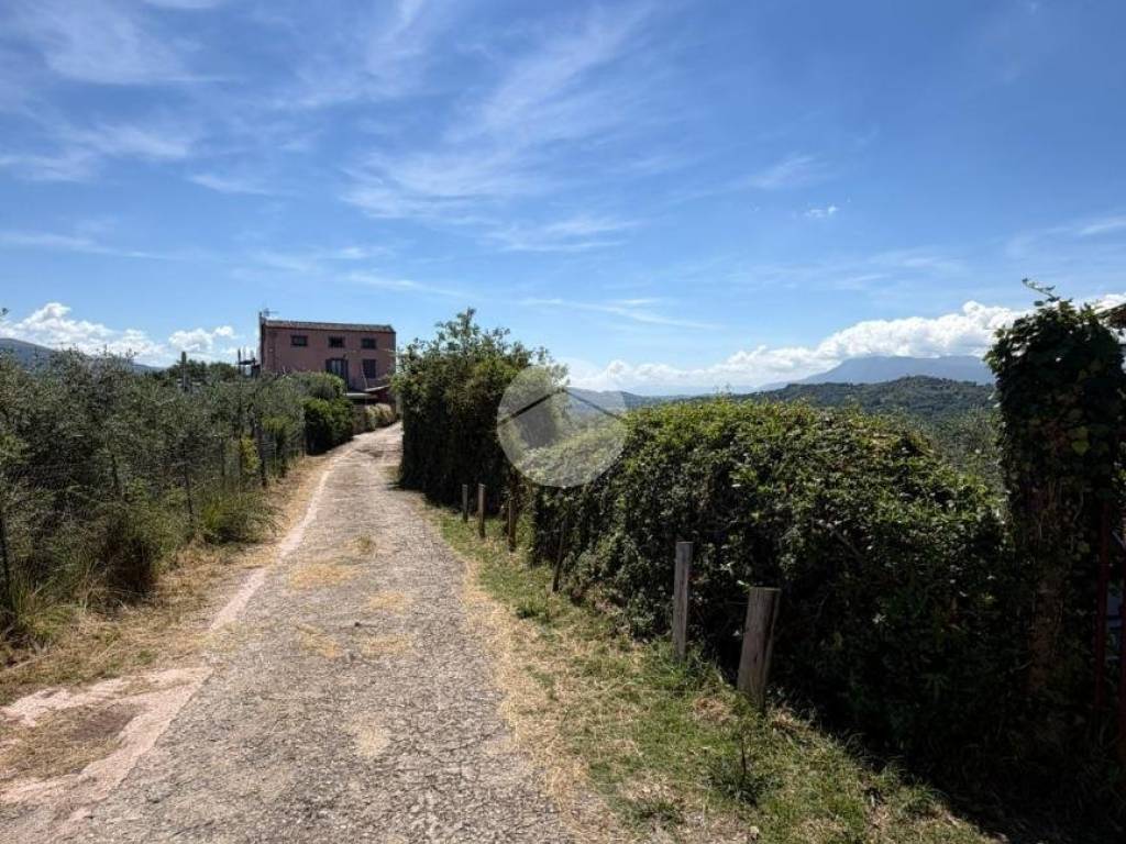 Terreno
