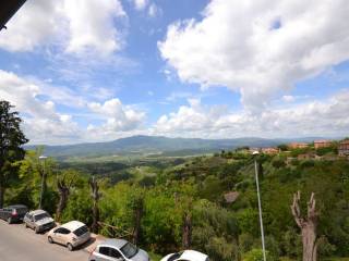 Vista