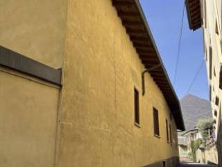 Zona
