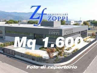 Zona