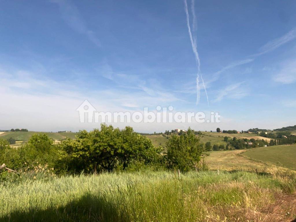 Vista