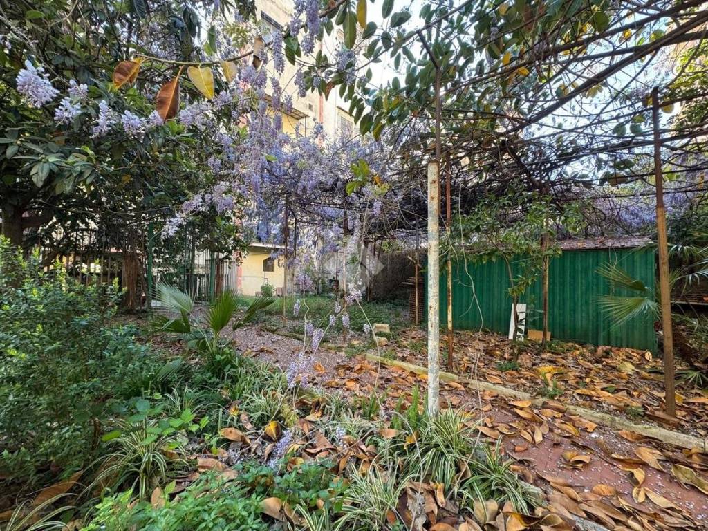 Giardino