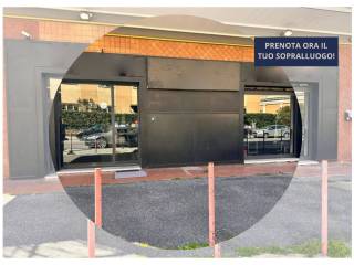 Zona