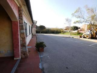 Zona