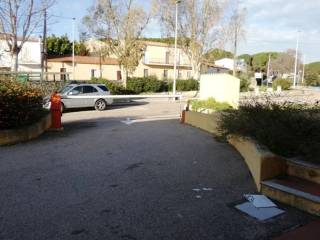 Zona
