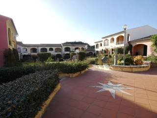 Zona