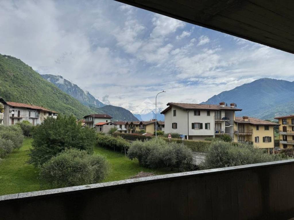 Vista