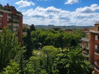 Vista