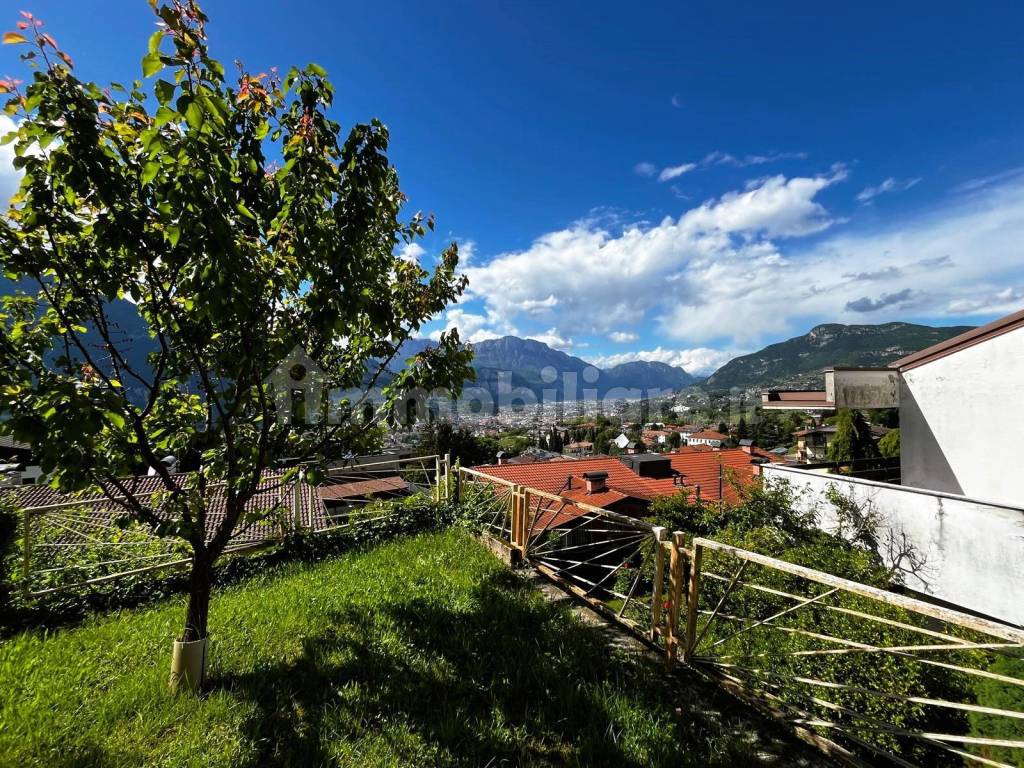 Vista