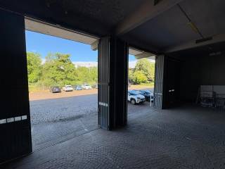Vista