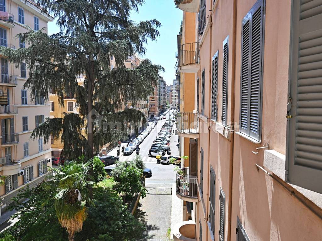 Vista