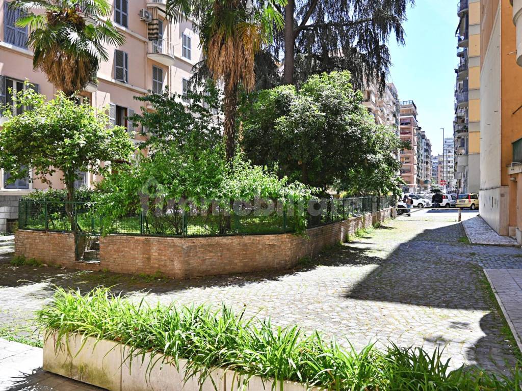 Zona
