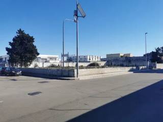 Zona