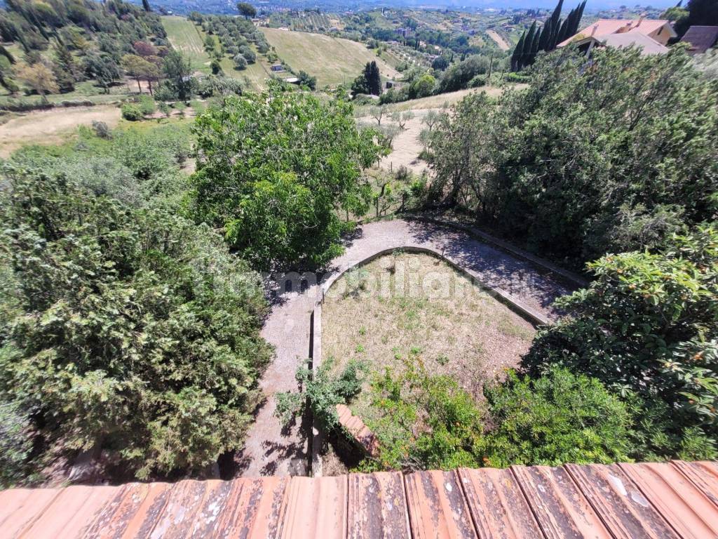 Vista