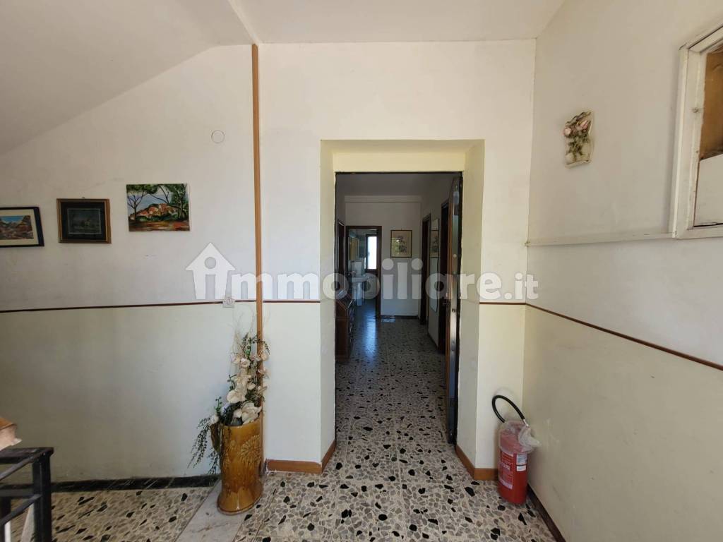 Ingresso