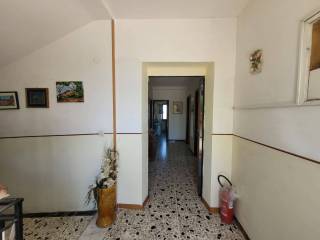 Ingresso