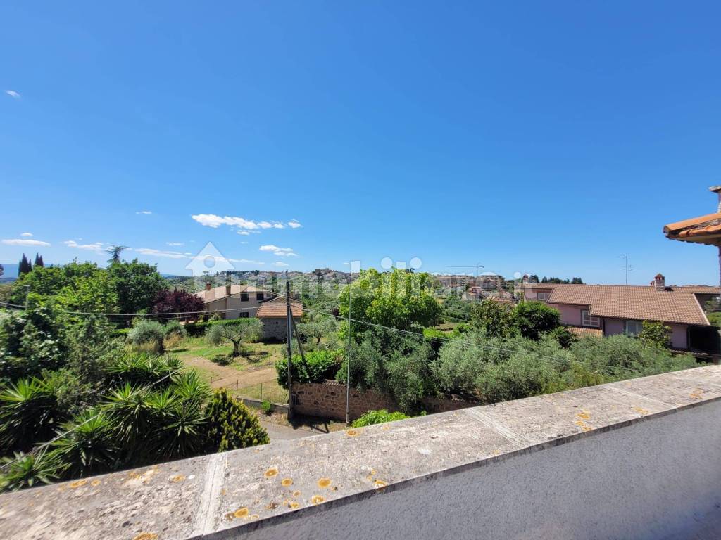 Vista
