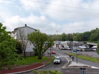 Vista