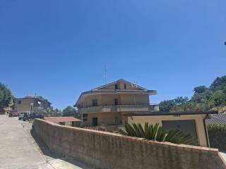 Zona