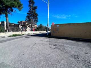 Zona